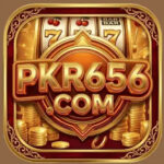 pkr656-game